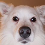 Malcolm Morris - @malcolm.morris.1088 - Instagram