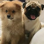 Malcolm & Newton - @leszouzoux - Instagram