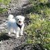 Malcolm Edward Norris - Facebook