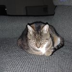 Malcolm Palmer - @malcolmpalmer738 - Instagram