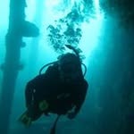 Malcolm Parsons - @mal.parsons1 - Instagram