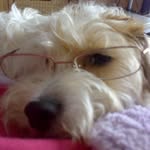 Malcolm Philmore - @malcolmphilmore02 - Instagram