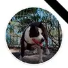 Malcolm Pickering - @malcolm.pickering5 - TikTok