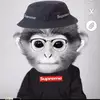 Malcolm Pickering - @malcolmpickering - TikTok