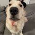 Malcolm Curtis Pierson - Facebook