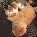 Malcolm&Piper - @malcolmandpiper - Instagram