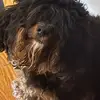 Malcolm Pierre - @malcolm.pierre - TikTok