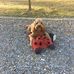 Malcolm Pitt - Facebook