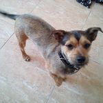 Malcolm J Powell - @malcolmpowell4559 - Instagram