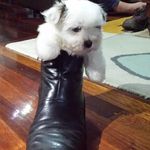 Malcolm Powell - @malcolm.powell.9022 - Instagram