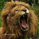Malcolm S. Pratt - @madingowarrior - Instagram