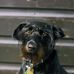 Malcolm Prosser - Facebook
