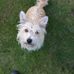 Malcolm Pullen - Facebook