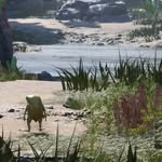 Malcolm Ramsay - @misprintgaming - Instagram