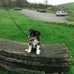Malcolm Reeves - @malcolmreeves4 - Instagram