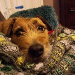 Malcolm Reeves - @malc.olm1951 - Instagram