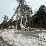 Malcolm Rice-Lambott - @ricelambott - Instagram