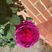 Malcolm Richmond - Facebook