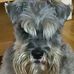 Malcolm Riley - Facebook