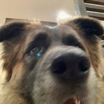 Malcolm Rose - @malcolm.rose_ - Instagram