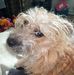 Malcolm Rose - Facebook