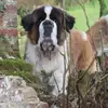 malcolmrose235 - @malcolmrose235 - TikTok
