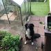 Malcolm Rowe - Facebook