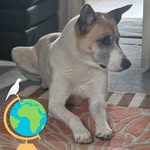 Malcolm Rowlands - @malcolm.rowlands - Instagram