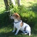 Malcolm Samuel - Facebook