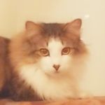 Malcolm Schmidt - @malcolm_schmidt - Instagram