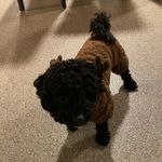 Malcolm Schwartz - @malcolm.schwartz - Instagram