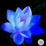 Sherry Malcolm - Facebook