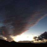 John Malcolm Southern - @cornish_gardener - Instagram