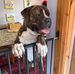 Malcolm Somers - Facebook