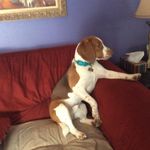 Malcolm Squires - @malcolmsquires - Instagram