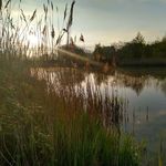 Malcolm Stanley - @malcolm.stanley.754 - Instagram