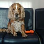 malcolm colin-stokes - @claphammal_ - Instagram