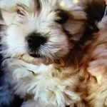 Malcolm Stokes - @malcolmstokes1942 - Instagram