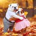 Malcolm Symons - Facebook