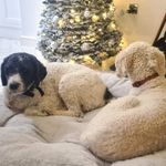 Malcolm Trotter - @malcolmtrotter - Instagram