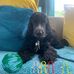 Malcolm Turner - Facebook
