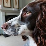 Malcolm Warner - @mgwarner217 - Instagram