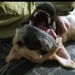 Malcolm Warner - @jerry_nimble9 - Instagram