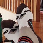 Malcolm Watts - @malcolm.watts - Instagram