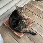 malcolm wells - @amateurpicsofamateurfood - Instagram