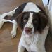 Malcolm Wynne - Facebook