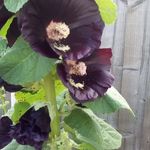 Malcolm Wynne Roberts - @malcolmwynneroberts - Instagram