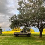 Malcom Brumley - @brumleymalcom - Instagram