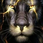 Malcom Douglas - @malcomdouglas867 - Instagram