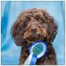 Malcolm Fretwell - Facebook